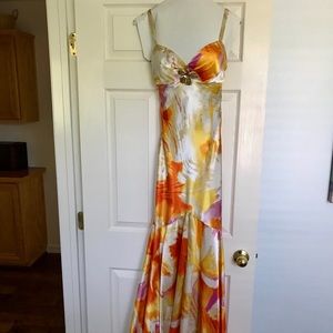 Excellent Condition Mary L Couture Formal Gown